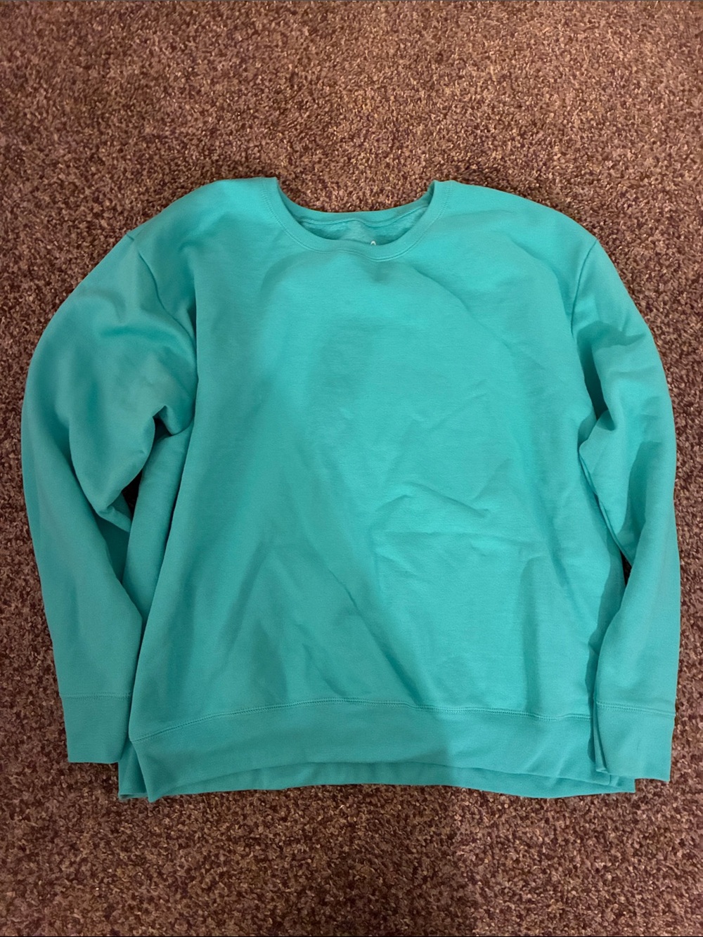 Hanes Men's Crewneck Sweater in Teal